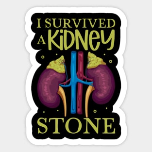 I have survived a kidney stone Sticker